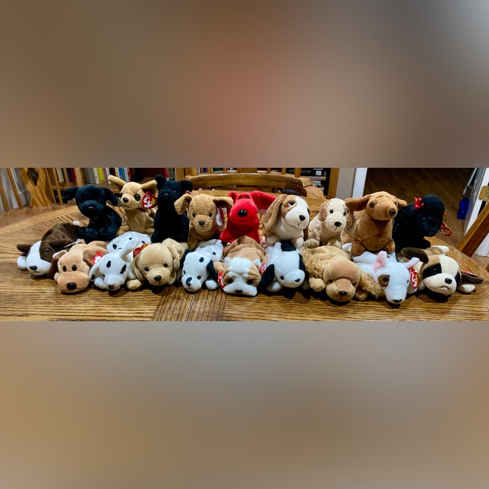 19 Ty dog beanie babies